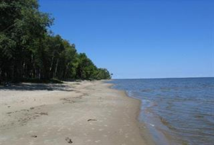 318 Buffalo, 3 Bedrooms Bedrooms, 10 Rooms Rooms,1 BathroomBathrooms,Residential,For Sale,Buffalo