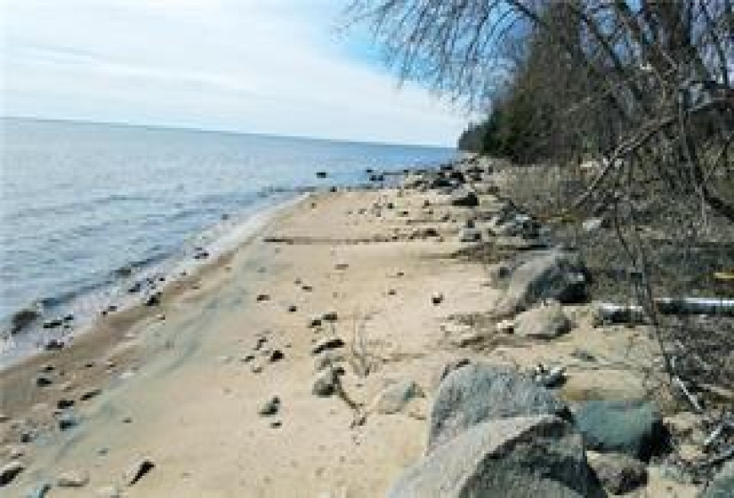 318 Buffalo, 3 Bedrooms Bedrooms, 10 Rooms Rooms,1 BathroomBathrooms,Residential,For Sale,Buffalo