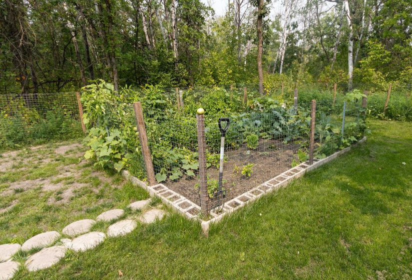 51 Rose, 2 Bedrooms Bedrooms, 6 Rooms Rooms,1 BathroomBathrooms,Residential,For Sale,Rose