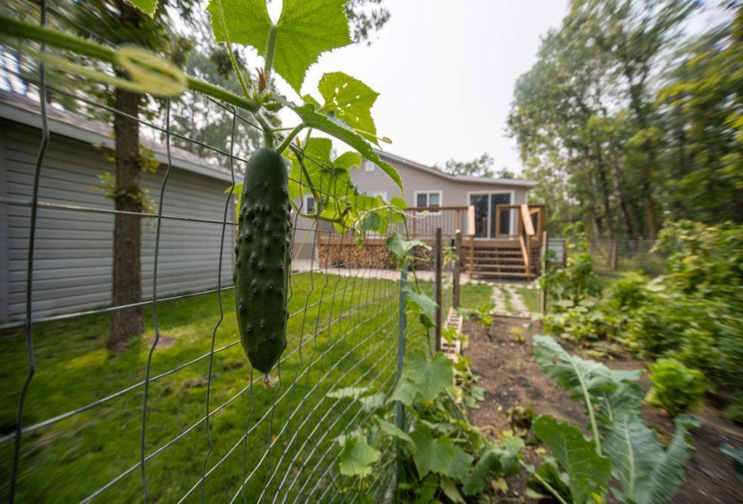 51 Rose, 2 Bedrooms Bedrooms, 6 Rooms Rooms,1 BathroomBathrooms,Residential,For Sale,Rose