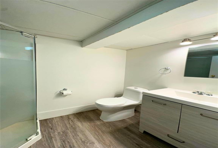 basement three piece bath