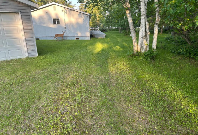 217 Thunder, 3 Bedrooms Bedrooms, 7 Rooms Rooms,1 BathroomBathrooms,Residential,For Sale,Thunder