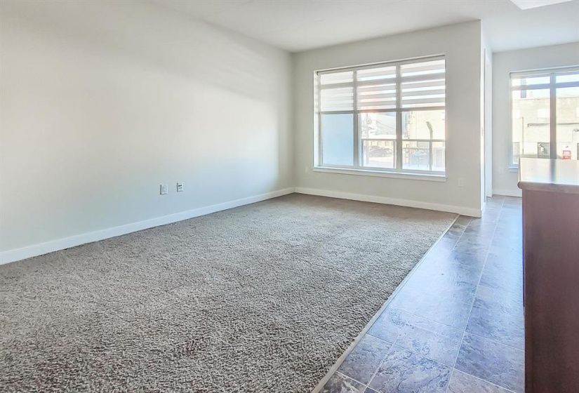 Cozy living room with West facing window