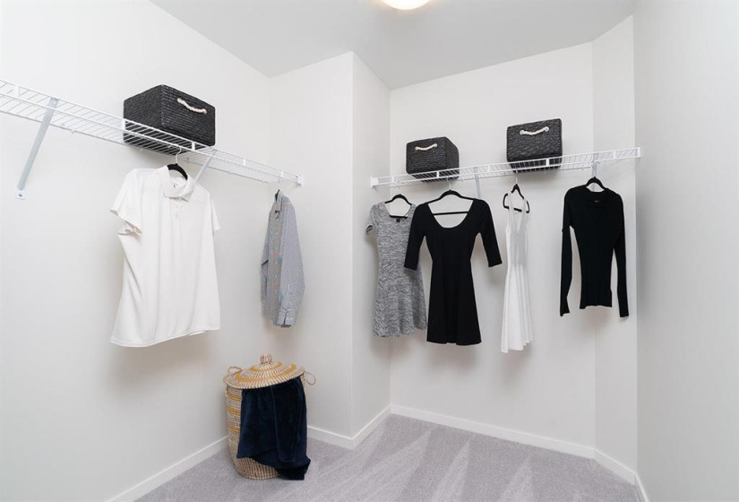 Primary Bdrm walk-in closet.