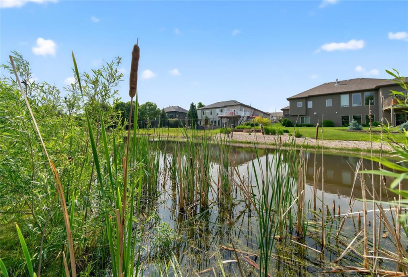 6 Magnolia, 4 Bedrooms Bedrooms, 16 Rooms Rooms,3 BathroomsBathrooms,Residential,For Sale,Magnolia
