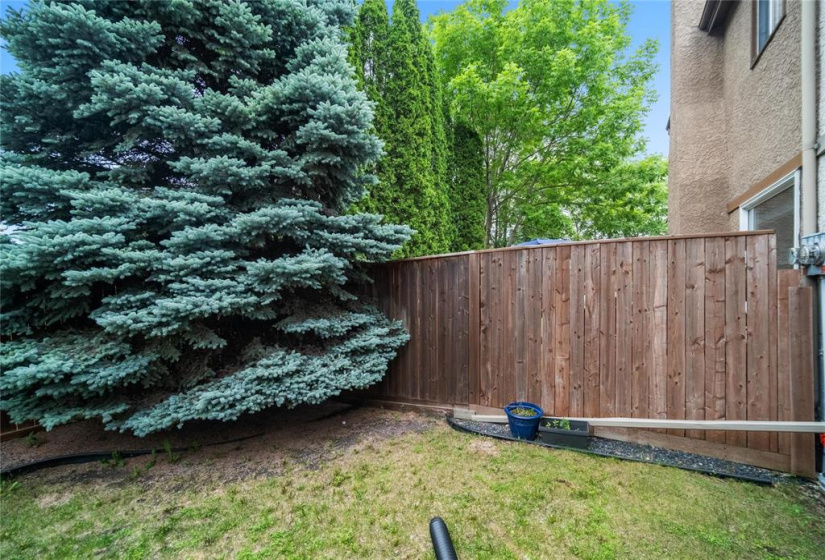 55 Abington, 3 Bedrooms Bedrooms, 11 Rooms Rooms,1 BathroomBathrooms,Residential,For Sale,Abington