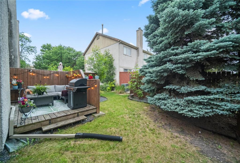 55 Abington, 3 Bedrooms Bedrooms, 11 Rooms Rooms,1 BathroomBathrooms,Residential,For Sale,Abington