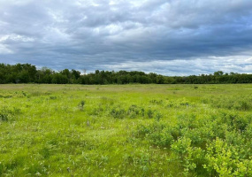 5 Park, ,Residential,For Sale,Park