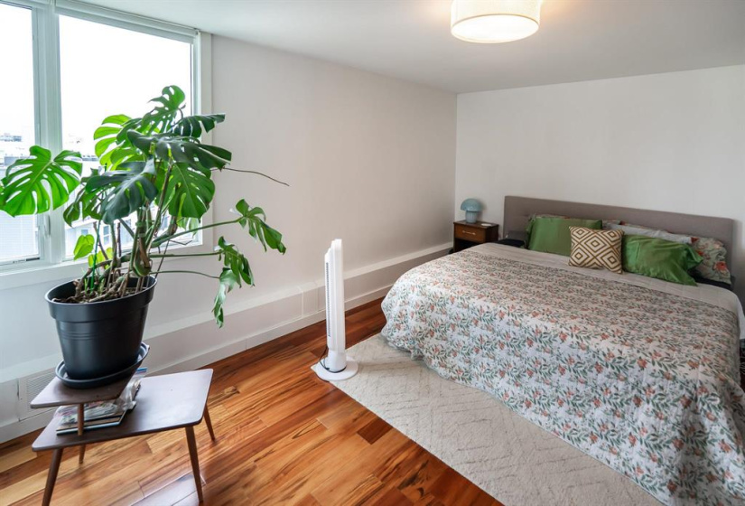 Primary bedroom easily fits a king bedroom suite