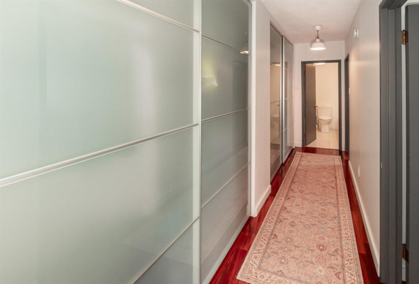 Storage in the hallway behind obscured glass doors