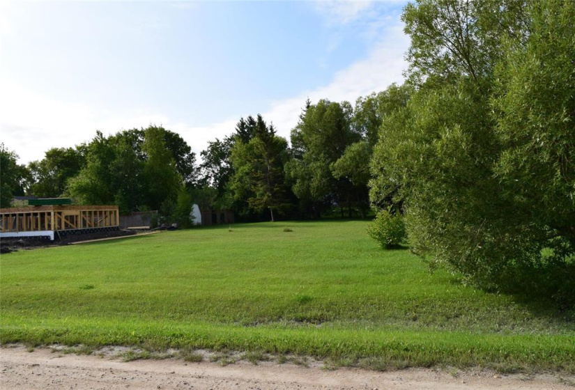 Flat lot with mature trees