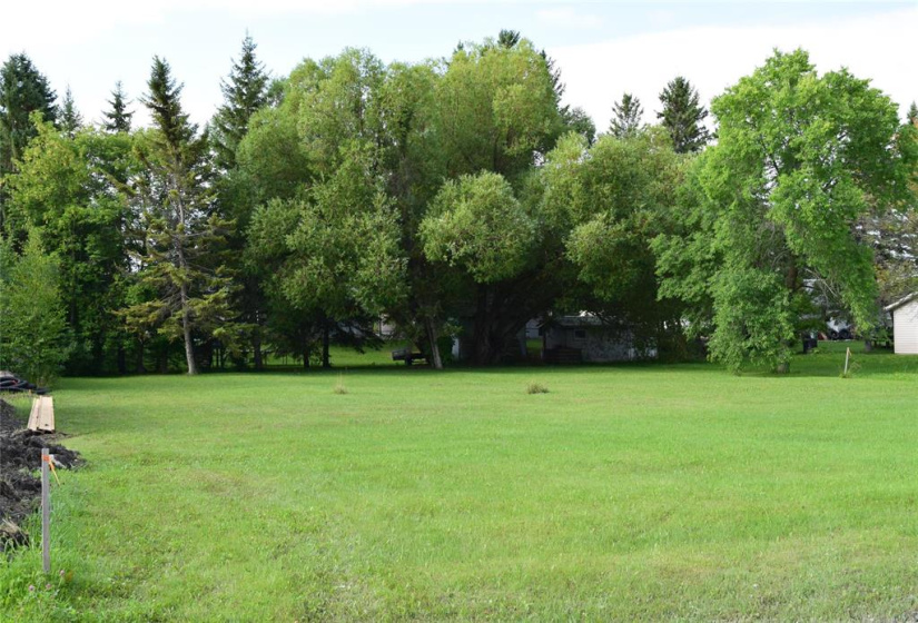 South facing back yard