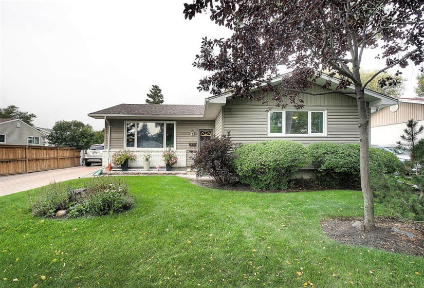 Show Stopper curb appeal