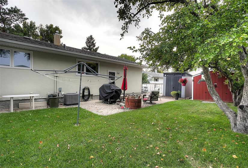 Huge back yard