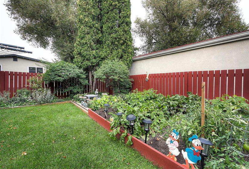 Gardens; Veggies, flowers & more.