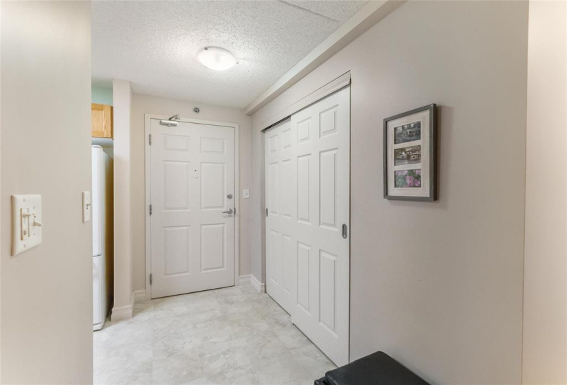 Entrance inside suite