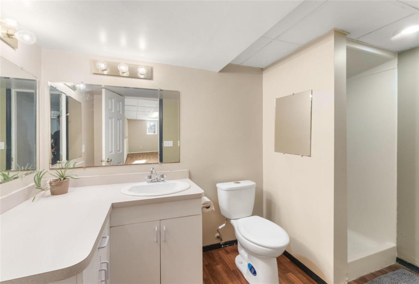 Basement bathroom