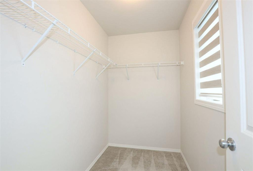 119 Rowntree, 3 Bedrooms Bedrooms, 11 Rooms Rooms,2 BathroomsBathrooms,Residential,For Sale,Rowntree