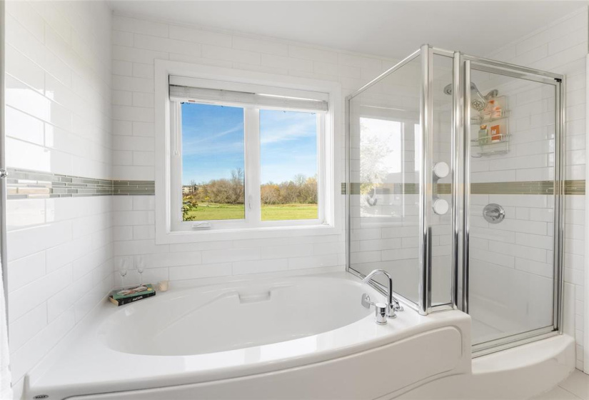 Great soaker tub and separate shower