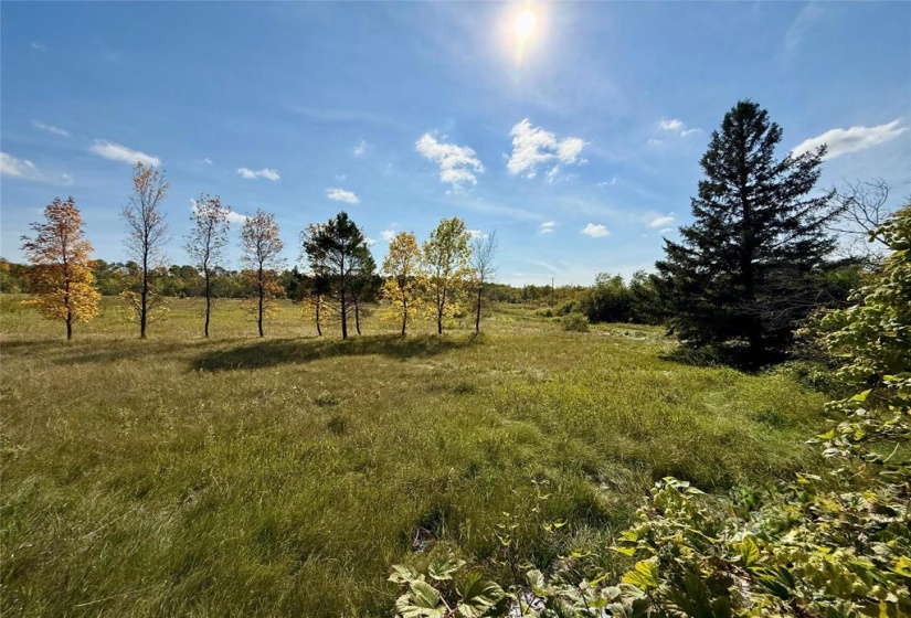 35049 Mile 81N, 3 Bedrooms Bedrooms, 10 Rooms Rooms,2 BathroomsBathrooms,Residential,For Sale,Mile 81N