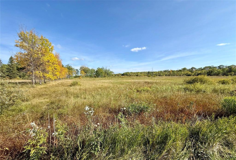 35049 Mile 81N, 3 Bedrooms Bedrooms, 10 Rooms Rooms,2 BathroomsBathrooms,Residential,For Sale,Mile 81N