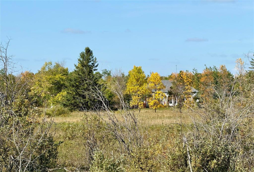 35049 Mile 81N, 3 Bedrooms Bedrooms, 10 Rooms Rooms,2 BathroomsBathrooms,Residential,For Sale,Mile 81N