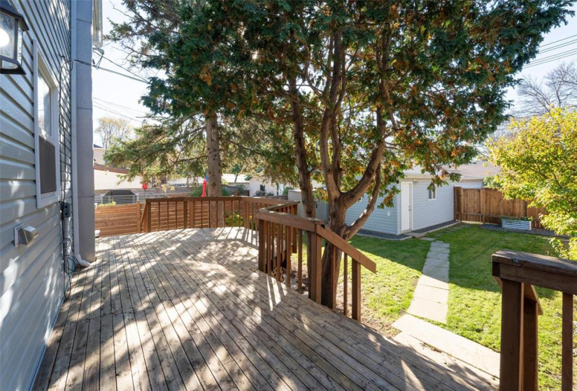 371 Borebank, 3 Bedrooms Bedrooms, 9 Rooms Rooms,2 BathroomsBathrooms,Residential,For Sale,Borebank
