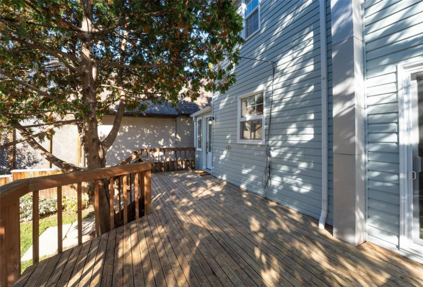 371 Borebank, 3 Bedrooms Bedrooms, 9 Rooms Rooms,2 BathroomsBathrooms,Residential,For Sale,Borebank