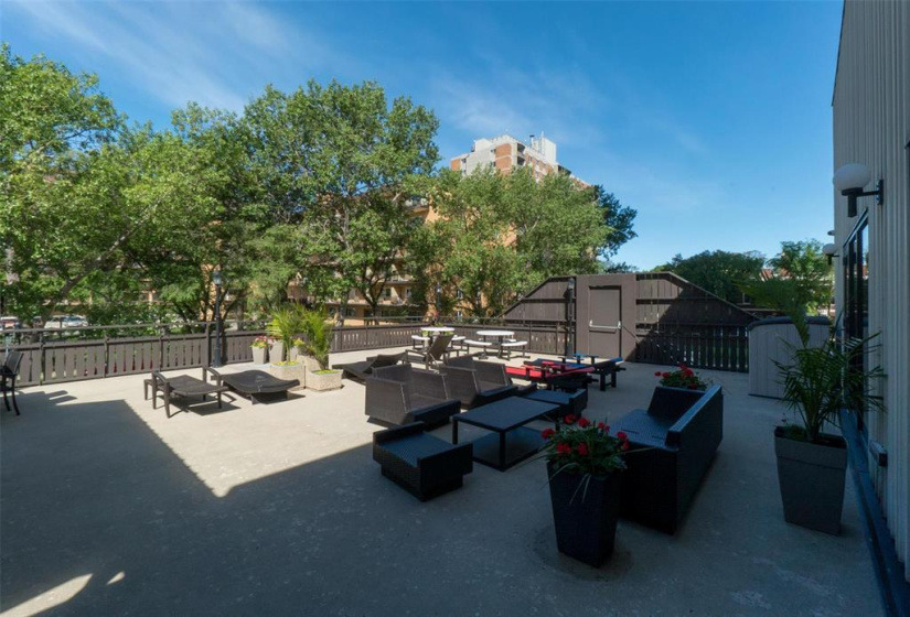 55 Nassau, 1 Bedroom Bedrooms, 5 Rooms Rooms,1 BathroomBathrooms,Condominium,For Sale,Nassau