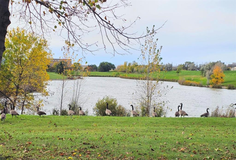 895 Wilkes, 2 Bedrooms Bedrooms, 8 Rooms Rooms,2 BathroomsBathrooms,Condominium,For Sale,Wilkes