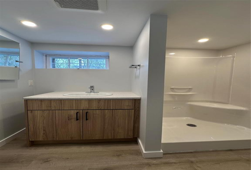 LOWER LEVEL BATHROOM