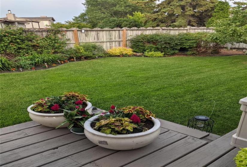 35 Packard, 4 Bedrooms Bedrooms, 13 Rooms Rooms,3 BathroomsBathrooms,Residential,For Sale,Packard