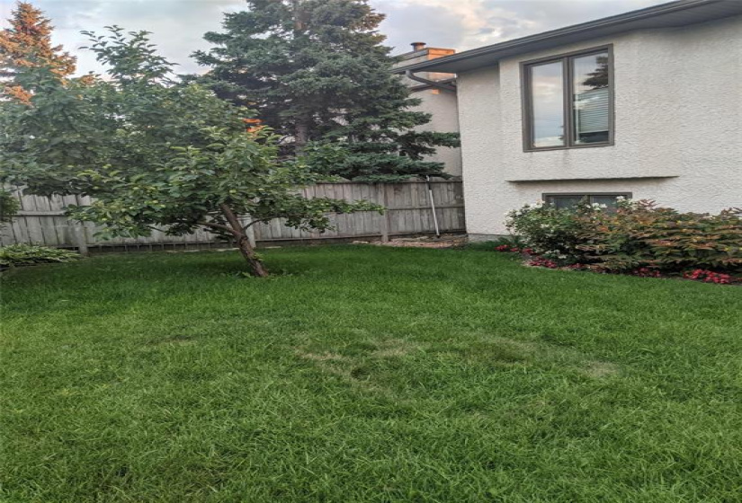 35 Packard, 4 Bedrooms Bedrooms, 13 Rooms Rooms,3 BathroomsBathrooms,Residential,For Sale,Packard