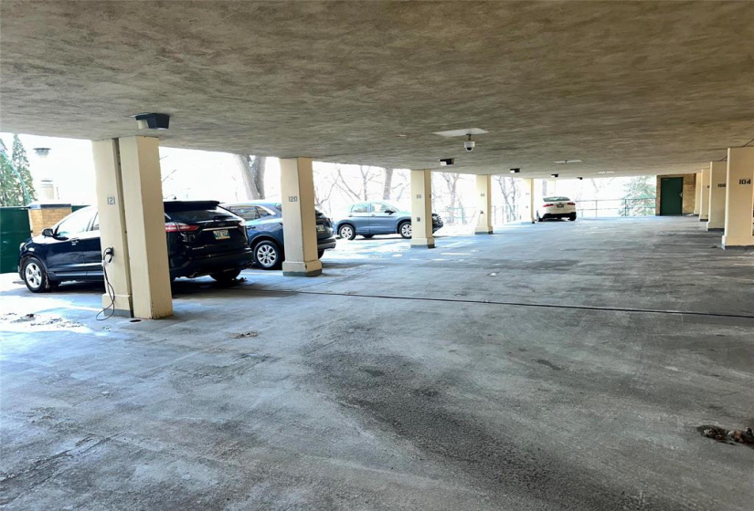 300 Roslyn, 2 Bedrooms Bedrooms, 6 Rooms Rooms,1 BathroomBathrooms,Condominium,For Sale,Roslyn