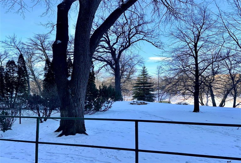 300 Roslyn, 2 Bedrooms Bedrooms, 6 Rooms Rooms,1 BathroomBathrooms,Condominium,For Sale,Roslyn