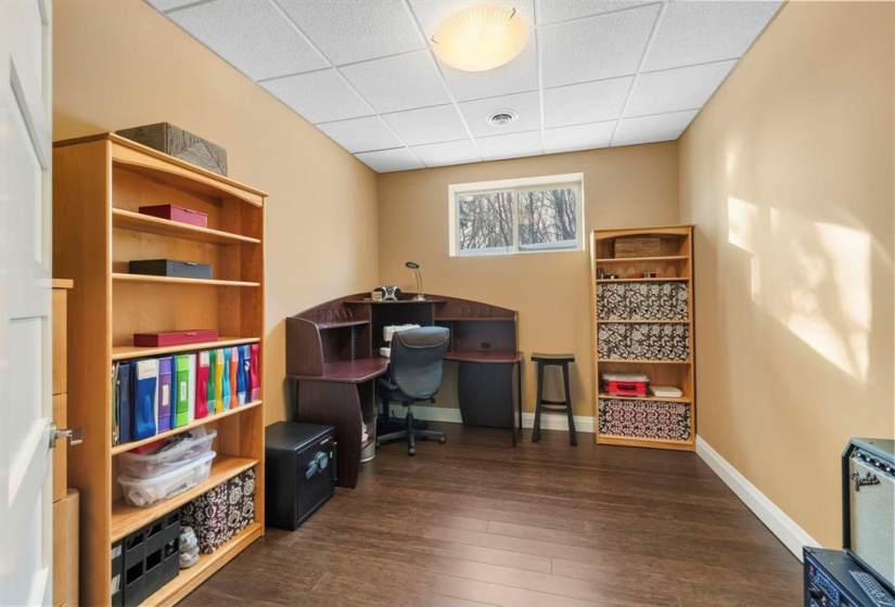 Lower level Hobby room/bedroom