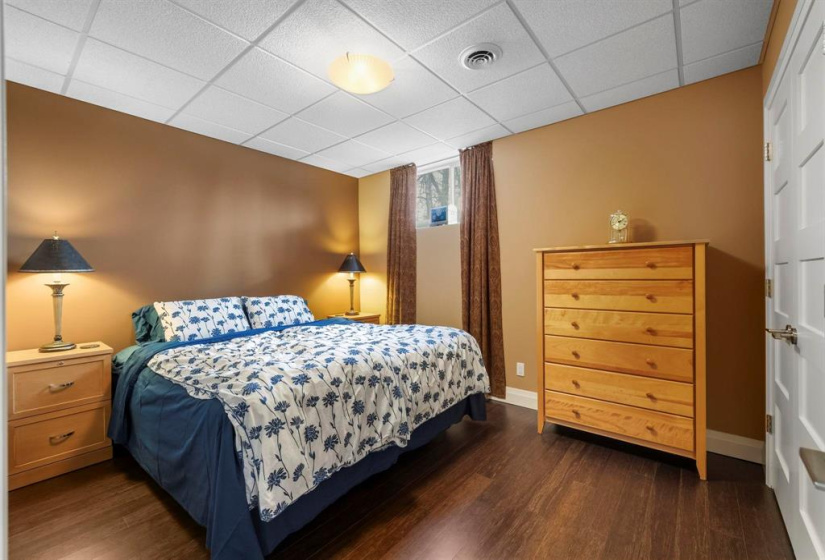 Lower level bedroom