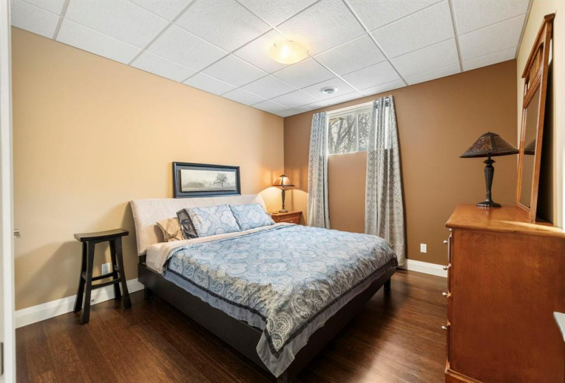 Lower level bedroom