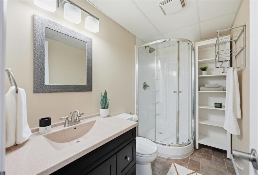 Lower Level 3 piece bath