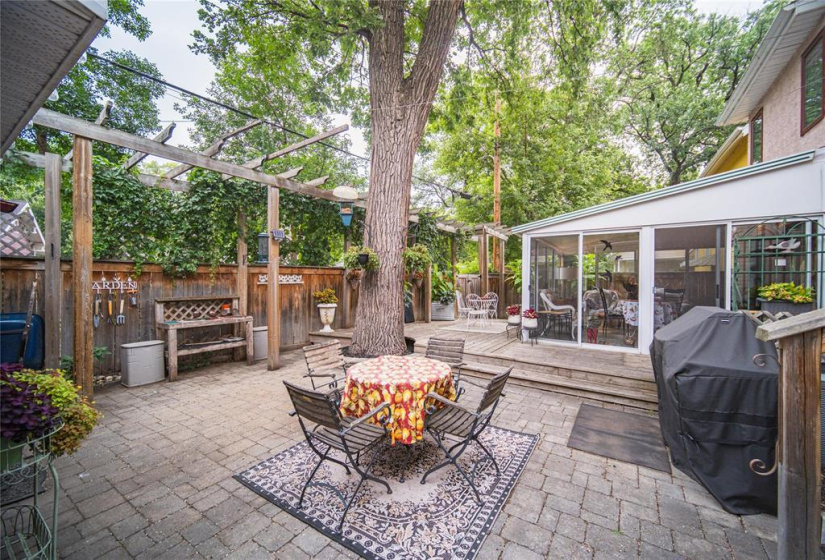 446 Kingston, 4 Bedrooms Bedrooms, 16 Rooms Rooms,2 BathroomsBathrooms,Residential,For Sale,Kingston