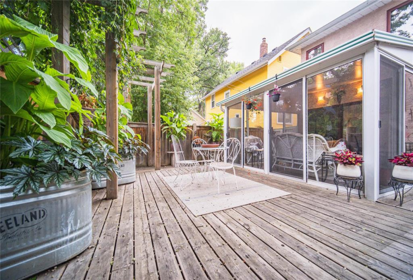 446 Kingston, 4 Bedrooms Bedrooms, 16 Rooms Rooms,2 BathroomsBathrooms,Residential,For Sale,Kingston