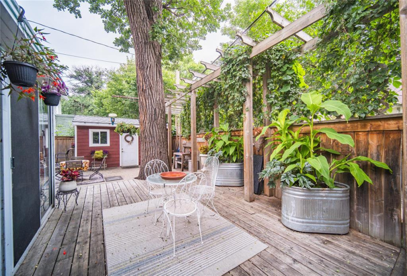 446 Kingston, 4 Bedrooms Bedrooms, 16 Rooms Rooms,2 BathroomsBathrooms,Residential,For Sale,Kingston