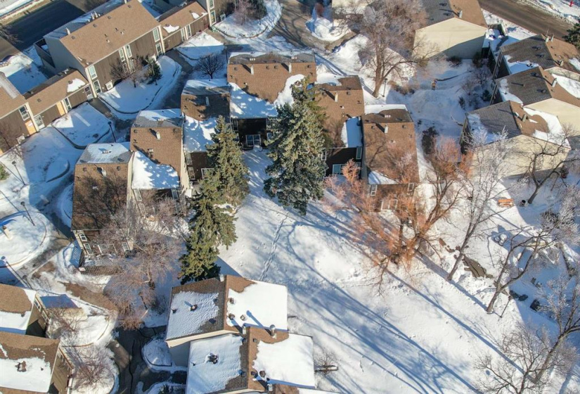 1 Snow, 3 Bedrooms Bedrooms, 10 Rooms Rooms,1 BathroomBathrooms,Condominium,For Sale,Snow