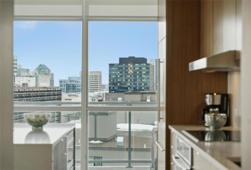 390 Assiniboine, 2 Bedrooms Bedrooms, 6 Rooms Rooms,2 BathroomsBathrooms,Condominium,For Sale,Assiniboine