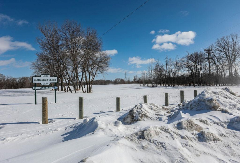 494 Beliveau, 1 Bedroom Bedrooms, 4 Rooms Rooms,1 BathroomBathrooms,Condominium,For Sale,Beliveau