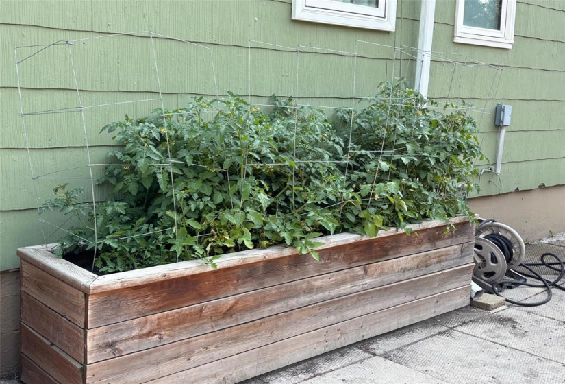 1013 Waterford, 4 Bedrooms Bedrooms, 12 Rooms Rooms,2 BathroomsBathrooms,Residential,For Sale,Waterford