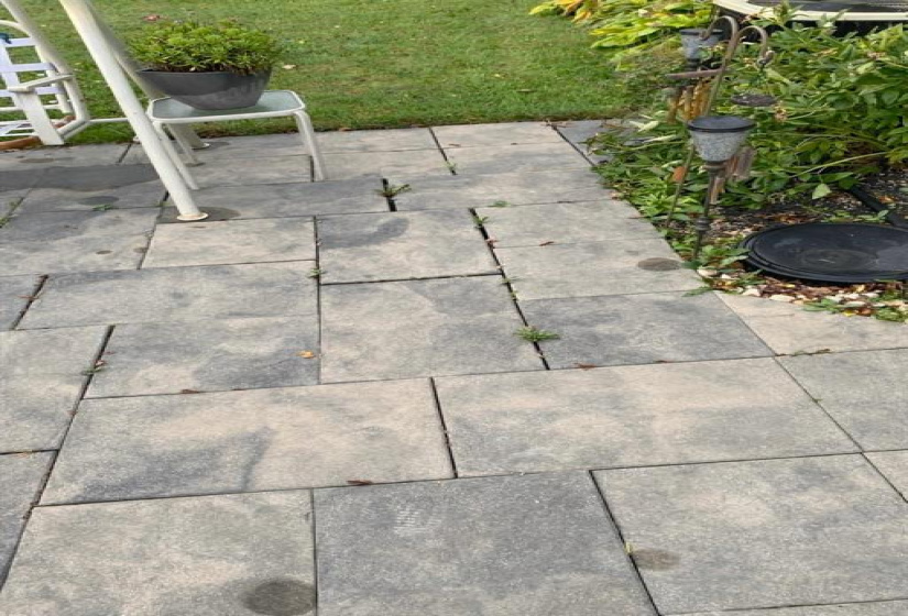 407 Olive, 2 Bedrooms Bedrooms, 7 Rooms Rooms,1 BathroomBathrooms,Residential,For Sale,Olive