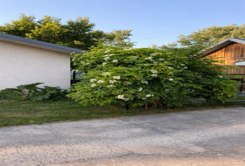 407 Olive, 2 Bedrooms Bedrooms, 7 Rooms Rooms,1 BathroomBathrooms,Residential,For Sale,Olive