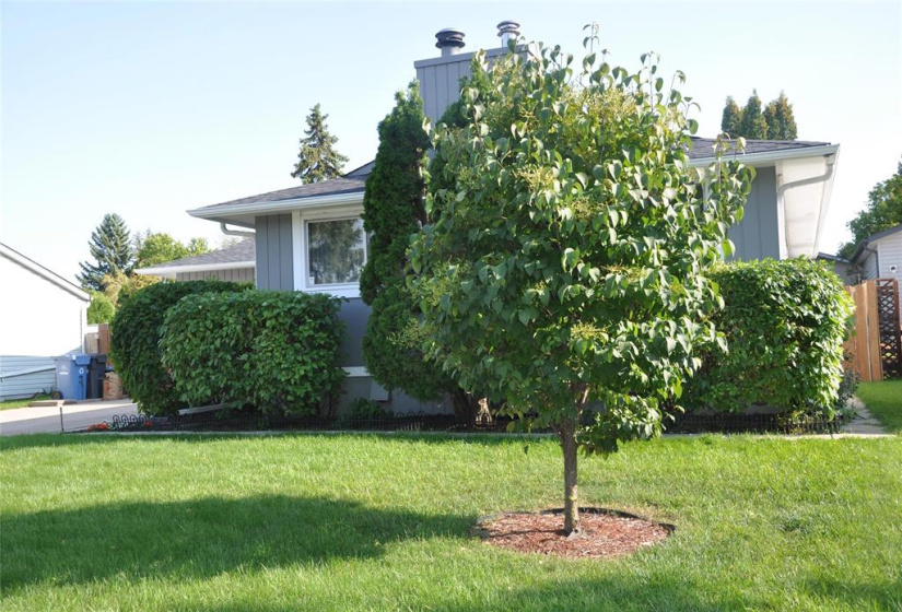 126 Royal Salinger, 4 Bedrooms Bedrooms, 14 Rooms Rooms,2 BathroomsBathrooms,Residential,For Sale,Royal Salinger