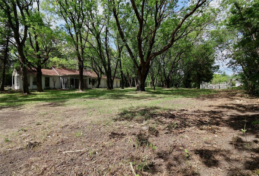 10 Willow, ,Residential,For Sale,Willow